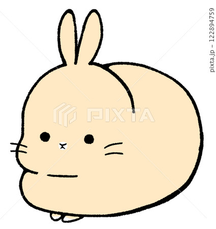 落ち着いて座っているうさぎ 落ち着いて座っているうさぎ 122894759