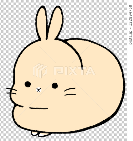 落ち着いて座っているうさぎ 落ち着いて座っているうさぎ 122894759