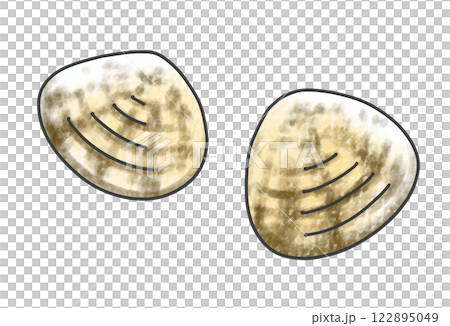 ゆるめシンプルな貝　アナログ風 122895049