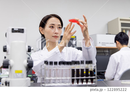 研究室 開発 実験室 臨床検査 バイオテクノロジー 新薬 研究室 開発 実験室 臨床検査 バイオテクノロジー 新薬 122895222