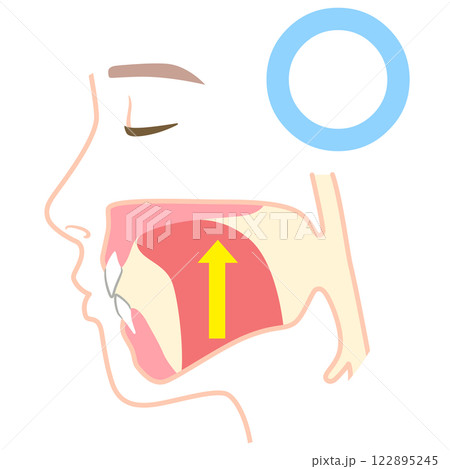 正しいミューイングの方法　適正な舌の位置と誤った舌の位置 122895245