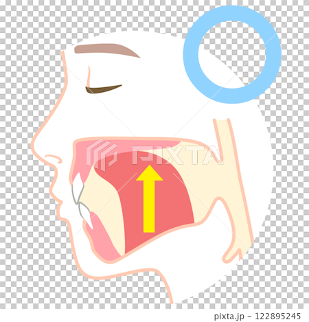 正しいミューイングの方法　適正な舌の位置と誤った舌の位置 122895245