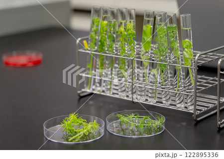 研究室　開発　実験室　臨床検査　バイオテクノロジー　 122895336
