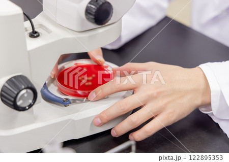 研究室 開発 実験室 臨床検査 バイオテクノロジー 新薬 研究室 開発 実験室 臨床検査 バイオテクノロジー 新薬 122895353