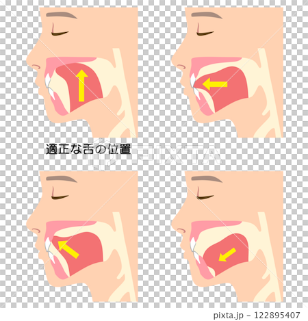 How to mew properly: correct and incorrect tongue position 122895407