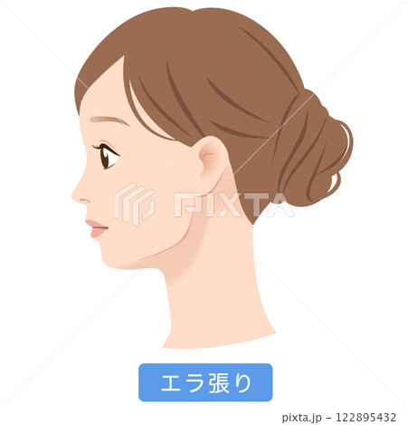 エラの張った女性の横顔 122895432