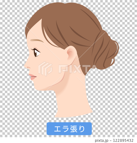 エラの張った女性の横顔 122895432