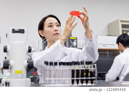 研究室 開発 実験室 臨床検査 バイオテクノロジー 新薬 研究室 開発 実験室 臨床検査 バイオテクノロジー 新薬 122895438
