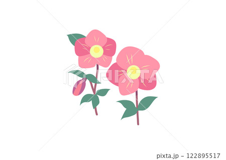 クリスマスローズのイラストセット 122895517