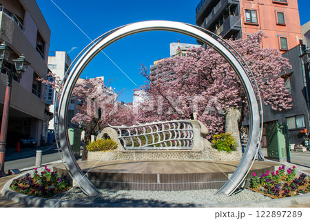 静岡県熱海市　あたみ桜　糸川遊歩道　2月上旬 122897289