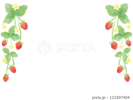 イチゴの花と実の水彩イラスト 122897404