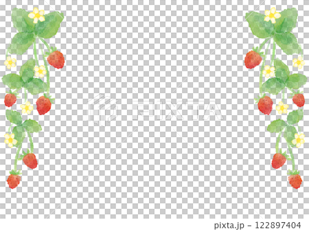 イチゴの花と実の水彩イラスト 122897404