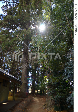 埼玉県比企郡滑川町月輪のパワースポット 月輪神社 埼玉県比企郡滑川町月輪のパワースポット 月輪神社 122897481