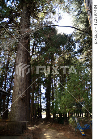 埼玉県比企郡滑川町月輪のパワースポット　月輪神社 122897484