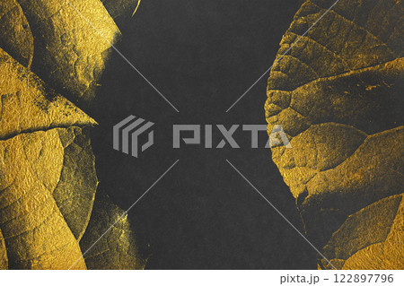 黒色の和紙に金色の抽象模様が描かれた高級感ある背景素材 黒色の和紙に金色の抽象模様が描かれた高級感ある背景素材 122897796