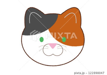 緑の目をした三毛猫の顔 緑の目をした三毛猫の顔 122898047