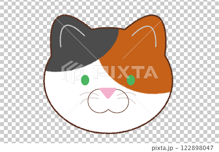 緑の目をした三毛猫の顔 緑の目をした三毛猫の顔 122898047