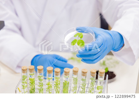 研究室　開発　実験室　臨床検査　バイオテクノロジー　新薬 122899475