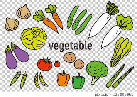 各種蔬菜的簡單而流行的彩色插圖 各種蔬菜的簡單而流行的彩色插圖 122899969