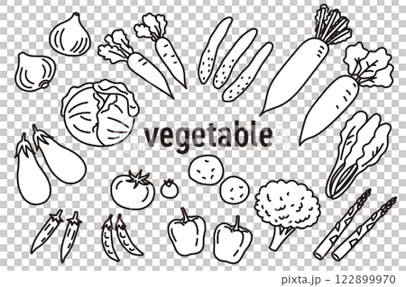 Simple monochrome illustrations of various vegetables Simple monochrome illustrations of various vegetables 122899970