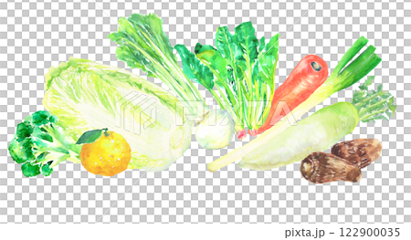 各種冬季蔬菜的水彩插圖 各種冬季蔬菜的水彩插圖 122900035