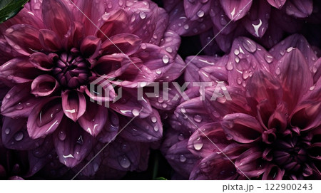 Purple Dahlia flowers with water drops background. Closeup of delicate blossom with glistening droplets. Generative AI 122900243