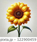 ひまわり 122900459