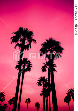 Silhouettes of tall palm trees against sunset bright pink and purple sky in glamorous kitsch style. Tropical landscape.  122900716