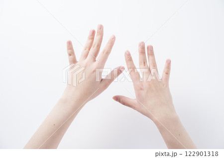女性の手の甲 女性の手の甲 122901318