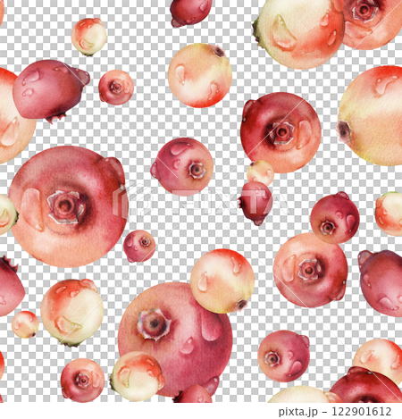 Lingonberry cranberry hand drawn in watercolor, scattered ripe forest berry group, dew drops, bearberry teaberry. Seamless pattern isolated illustration. Textile, scrapbooking, farmers market menu Lingonberry cranberry hand drawn in watercolor, scattered ripe forest berry group, dew drops, bearberry teaberry. Seamless pattern isolated illustration. Textile, scrapbooking, farmers market menu 122901612
