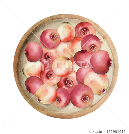Cranberry lingonberry heap on ceramic plate, hand drawn in watercolor, ripe red forest berry bearberry teaberry wintergreen. Isolated illustration for restaurant menu, farmers market, home preserves Cranberry lingonberry heap on ceramic plate, hand drawn in watercolor, ripe red forest berry bearberry teaberry wintergreen. Isolated illustration for restaurant menu, farmers market, home preserves 122901613