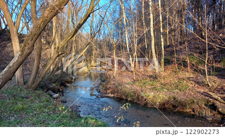 Stream in woods illuminated by setting sun. Early spring Stream in woods illuminated by setting sun. Early spring 122902273