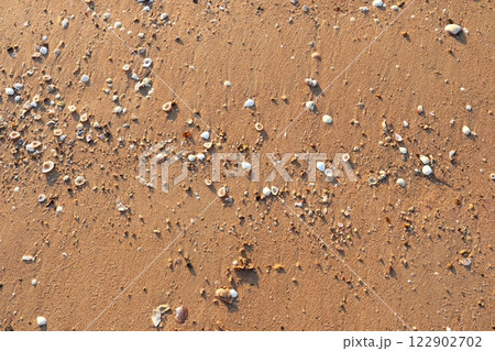 Top view wet sand beach and shell. Top view wet sand beach and shell. 122902702
