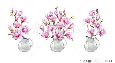 Pink magnolia flowers in vase watercolor illustration set. Hand drawn vintage style spring season blooming magnolia blossoms decor elements. Springtime tender flowers in the jar on white background 122904034