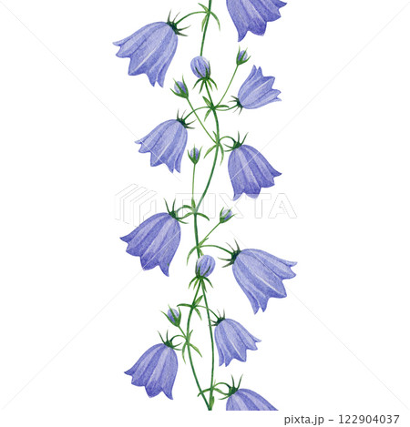 Blue campanula bellflowers elegant seamless border element. Hand drawn vintage style watercolor illustration. Elegant summer meadow bluebell flowers seamless border decoration on white background Blue campanula bellflowers elegant seamless border element. Hand drawn vintage style watercolor illustration. Elegant summer meadow bluebell flowers seamless border decoration on white background 122904037