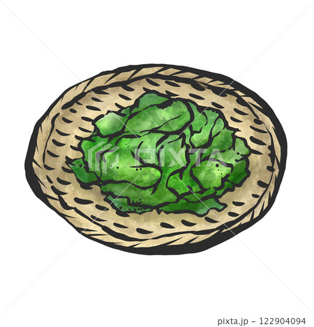 わかめの手描き筆絵風イラスト わかめの手描き筆絵風イラスト 122904094