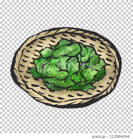 裙帶菜的手繪插圖 122904094