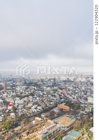 雪の名古屋市街地、東山スカイタワーからの眺め〈愛知県名古屋市〉 雪の名古屋市街地、東山スカイタワーからの眺め〈愛知県名古屋市〉 122904320