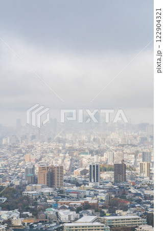 雪の名古屋市街地、東山スカイタワーからの眺め〈愛知県名古屋市〉 雪の名古屋市街地、東山スカイタワーからの眺め〈愛知県名古屋市〉 122904321