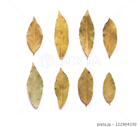 Bay leaf isolated on a white Bay leaf isolated on a white 122904330
