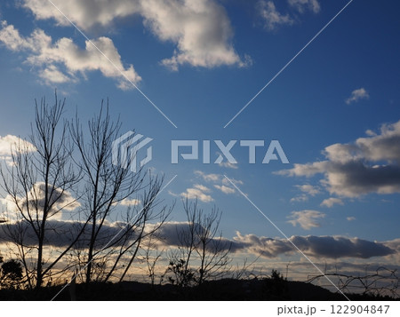 幻想的な夕景 122904847