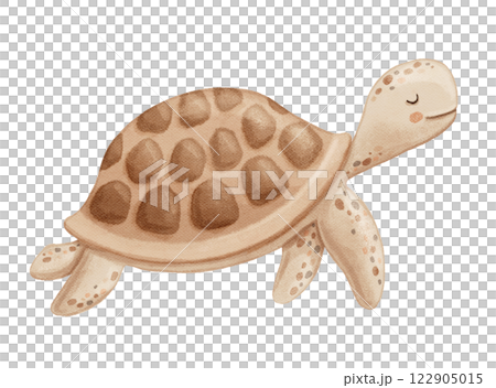 Cute turtle, sea animal character in neutral colors, watercolor hand drawn isolated illustration for baby Cute turtle, sea animal character in neutral colors, watercolor hand drawn isolated illustration for baby 122905015