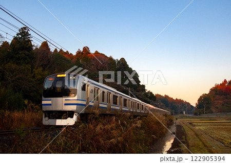 日の出を受けてE217系 122905394