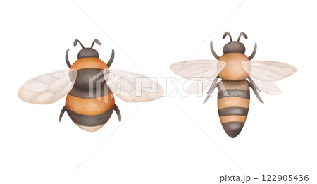 Bumblebee, honeybee flying, top view. Meadow insects illustration isolated on white. Stylized hand drawn design elements in watercolor style. 122905436