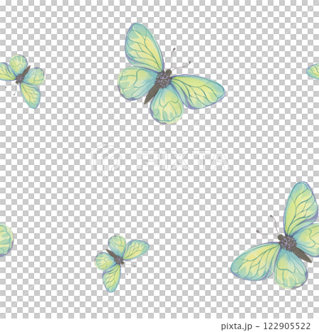 Watercolor Butterfly Pattern on White Background 122905522
