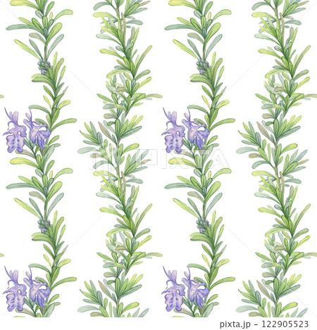 Seamless pattern of blooming rosemary branches. Watercolor botanical illustration. Fresh green stems suitable for decorating fabrics, kitchen design, packaging natural products 122905523