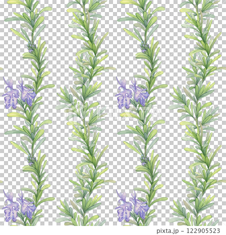 Seamless pattern of blooming rosemary branches. Watercolor botanical illustration. Fresh green stems suitable for decorating fabrics, kitchen design, packaging natural products 122905523