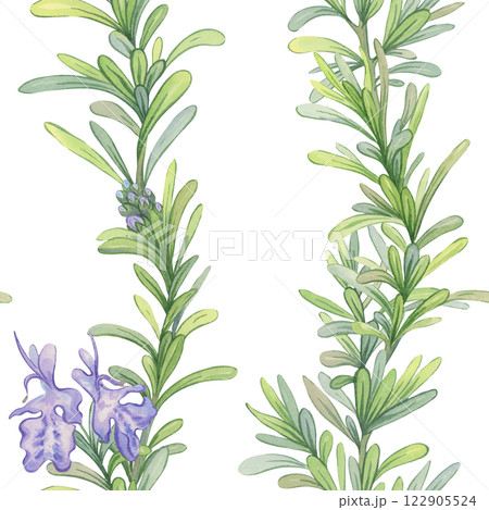 Seamless pattern of blooming rosemary branches. Watercolor botanical illustration. Fresh green stems suitable for decorating fabrics, kitchen design, packaging natural products Seamless pattern of blooming rosemary branches. Watercolor botanical illustration. Fresh green stems suitable for decorating fabrics, kitchen design, packaging natural products 122905524