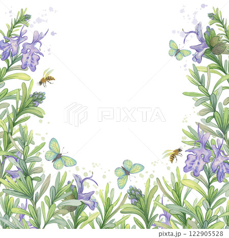 Blooming rosemary. Square watercolor frame with rosemary flowers, butterflies and bees Blooming rosemary. Square watercolor frame with rosemary flowers, butterflies and bees 122905528