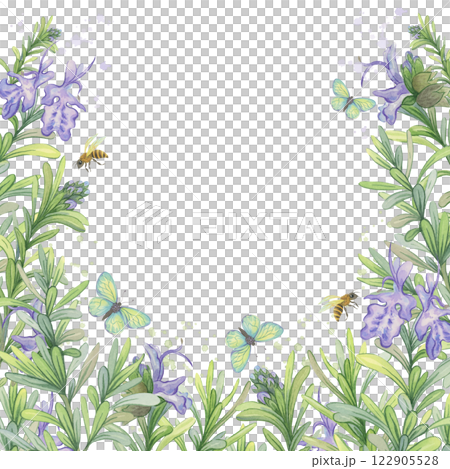 Blooming rosemary. Square watercolor frame with rosemary flowers, butterflies and bees Blooming rosemary. Square watercolor frame with rosemary flowers, butterflies and bees 122905528